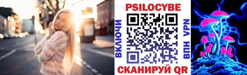 Купить где  Сердобск  Галлюциногенные грибы мицелий 